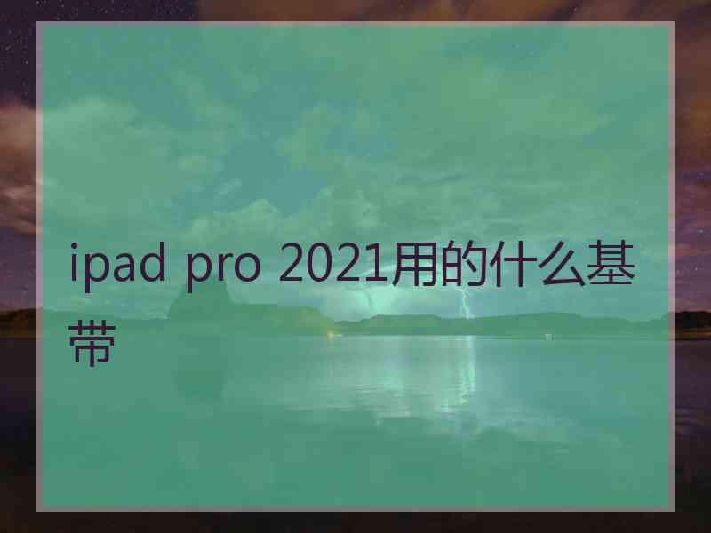 ipad pro 2021用的什么基带