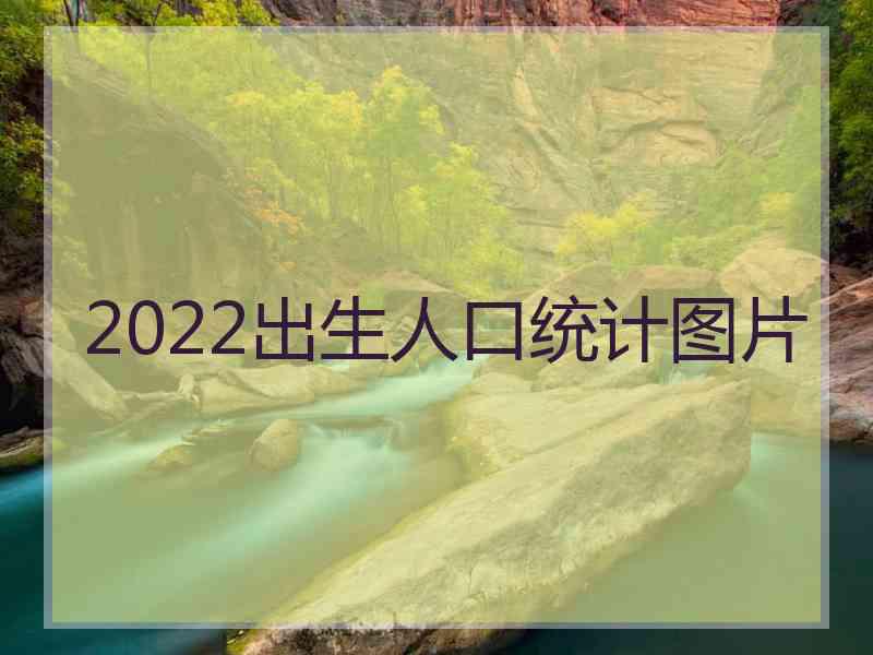 2022出生人口统计图片