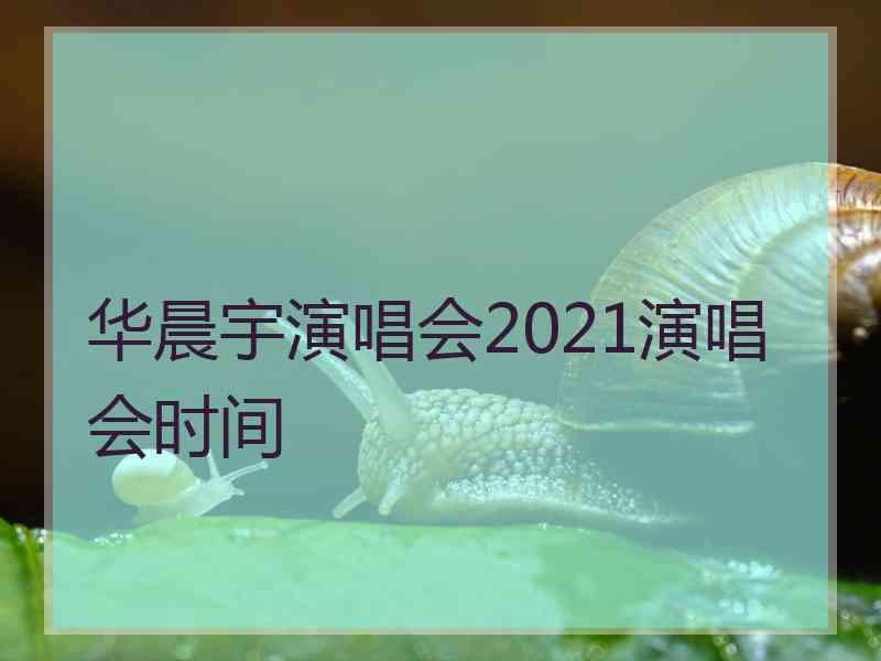 华晨宇演唱会2021演唱会时间