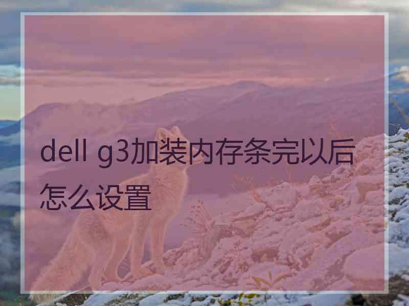 dell g3加装内存条完以后怎么设置