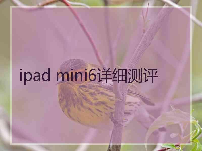 ipad mini6详细测评