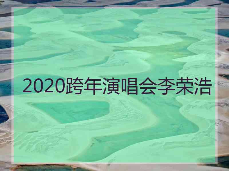 2020跨年演唱会李荣浩