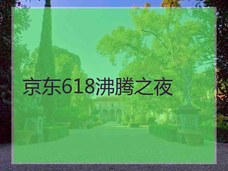 京东618沸腾之夜