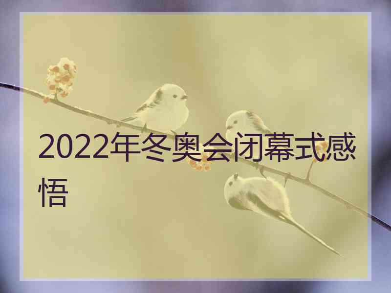 2022年冬奥会闭幕式感悟