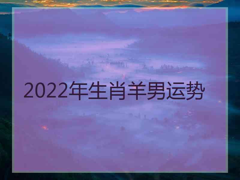 2022年生肖羊男运势