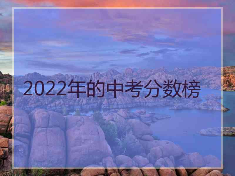 2022年的中考分数榜