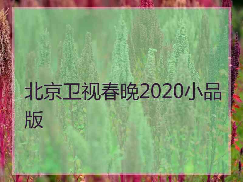 北京卫视春晚2020小品版