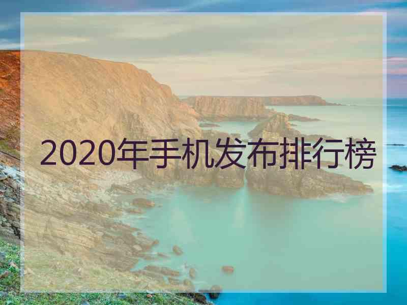 2020年手机发布排行榜