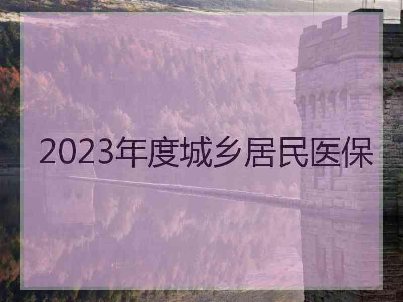 2023年度城乡居民医保