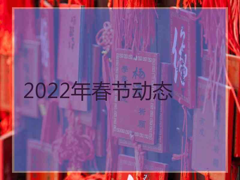 2022年春节动态