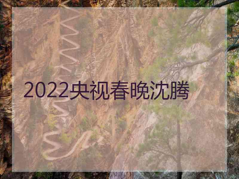 2022央视春晚沈腾