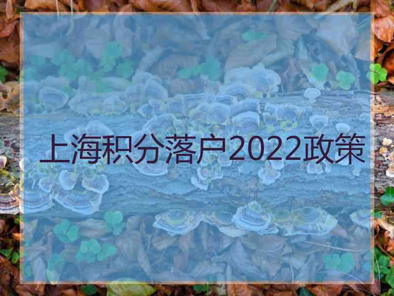 上海积分落户2022政策