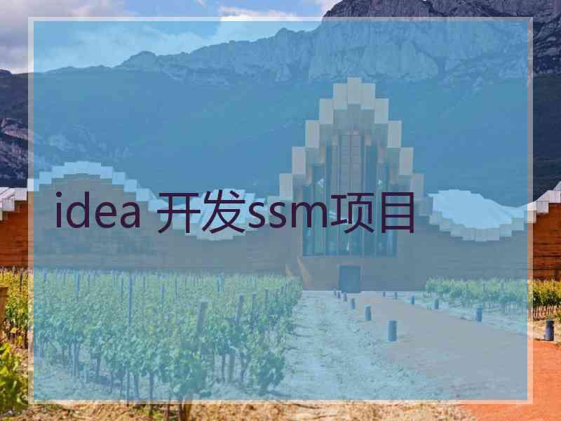 idea 开发ssm项目