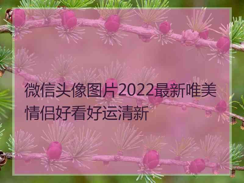 微信头像图片2022最新唯美情侣好看好运清新