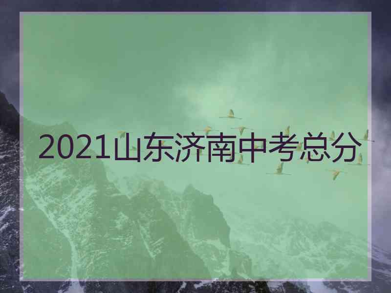 2021山东济南中考总分