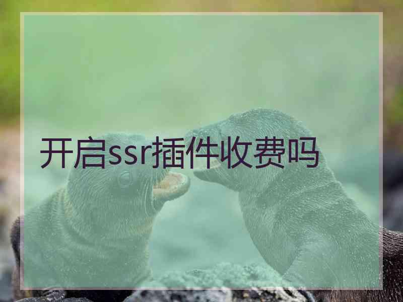 开启ssr插件收费吗