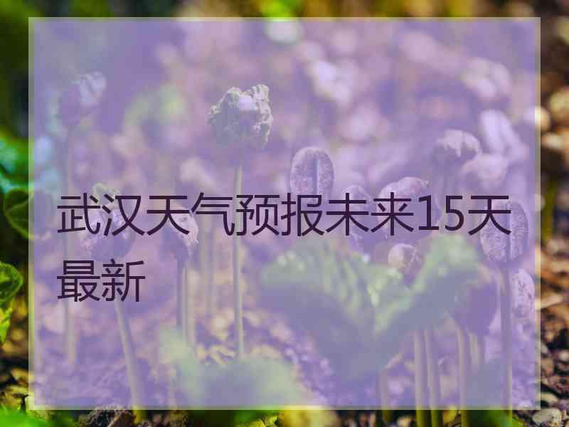 武汉天气预报未来15天最新