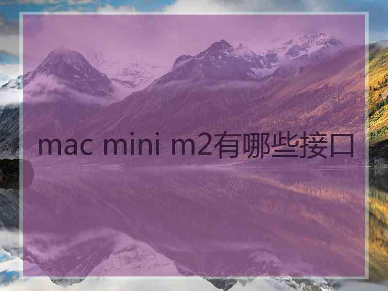 mac mini m2有哪些接口