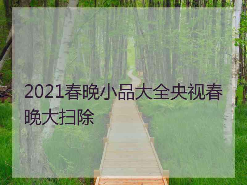 2021春晚小品大全央视春晚大扫除