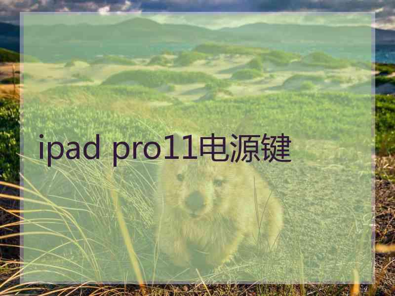 ipad pro11电源键