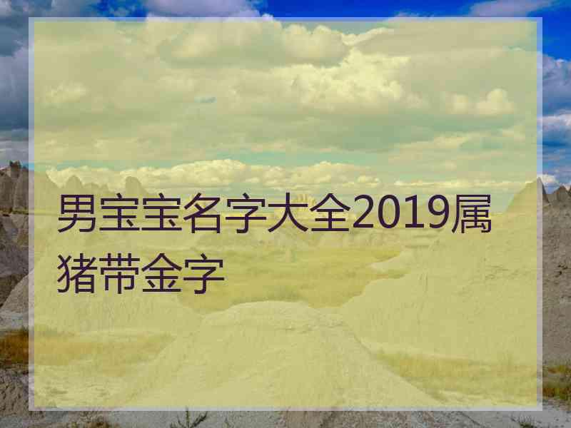 男宝宝名字大全2019属猪带金字