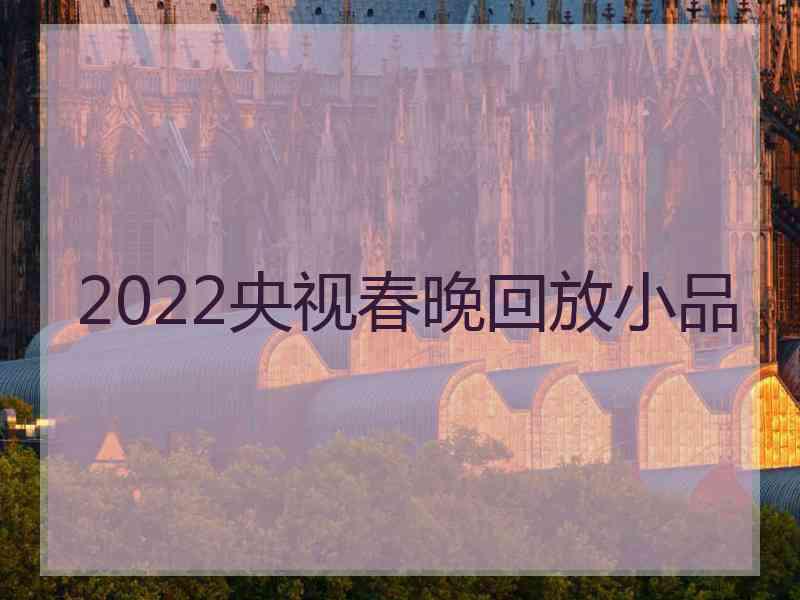 2022央视春晚回放小品