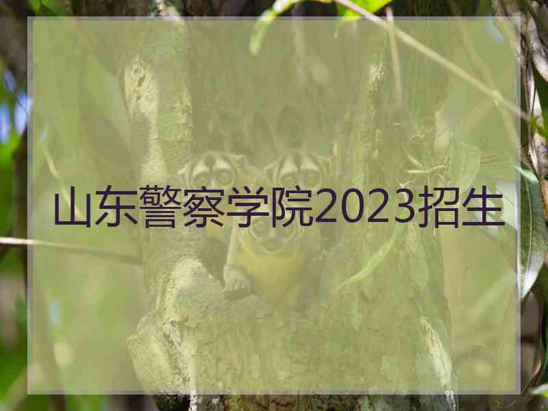 山东警察学院2023招生