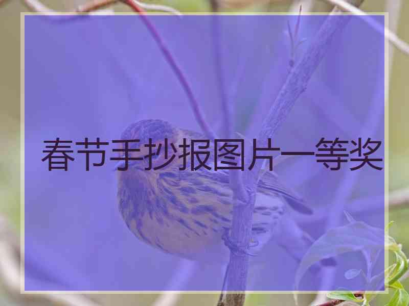 春节手抄报图片一等奖