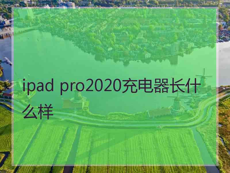 ipad pro2020充电器长什么样