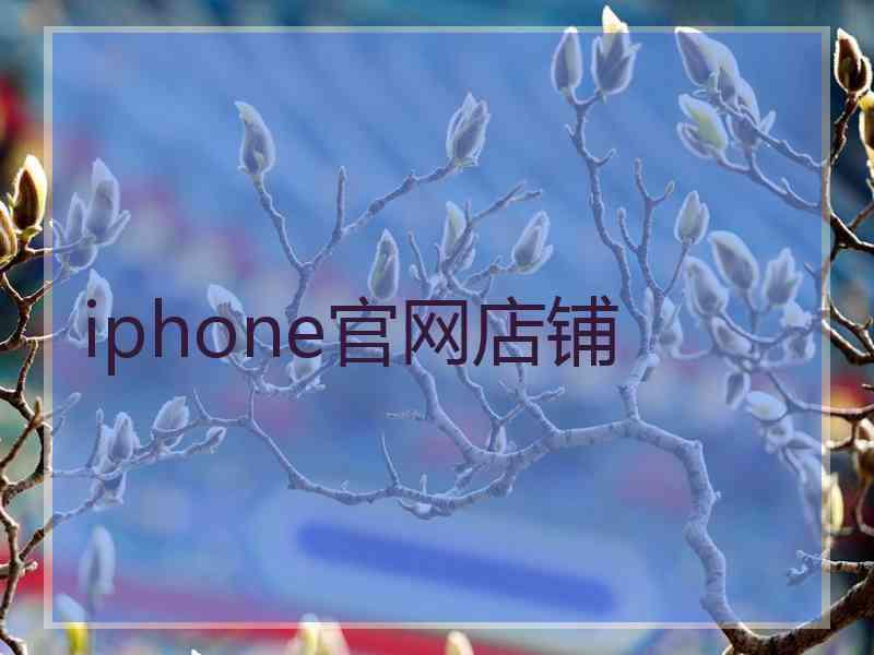 iphone官网店铺