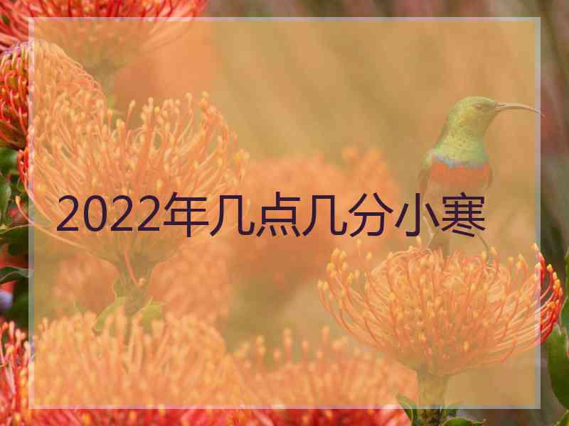 2022年几点几分小寒