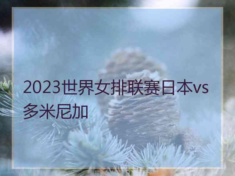 2023世界女排联赛日本vs多米尼加