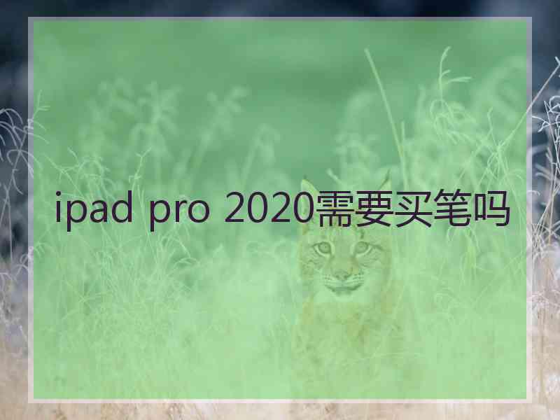 ipad pro 2020需要买笔吗