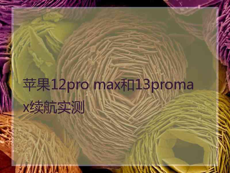 苹果12pro max和13promax续航实测