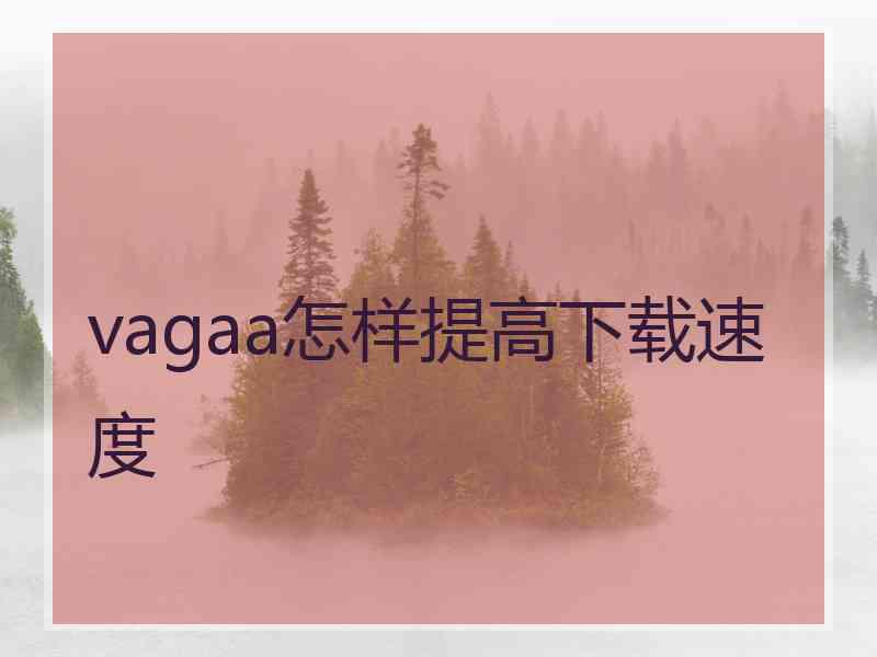 vagaa怎样提高下载速度