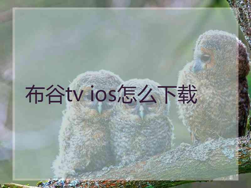 布谷tv ios怎么下载