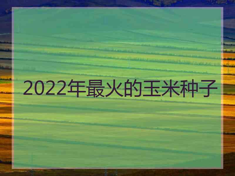 2022年最火的玉米种子