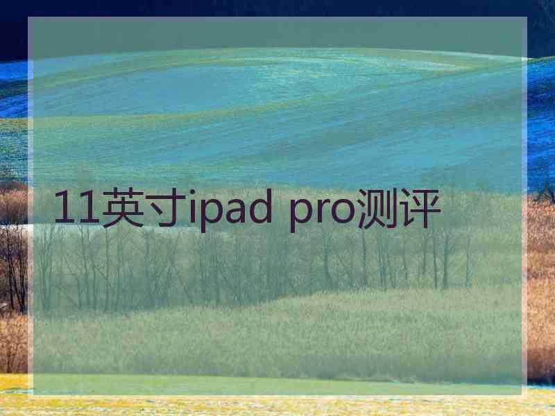 11英寸ipad pro测评