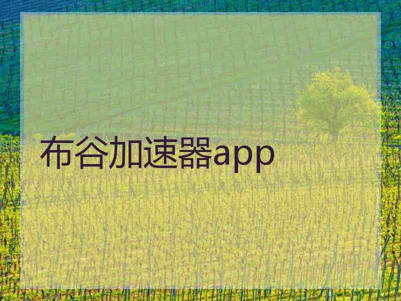 布谷加速器app