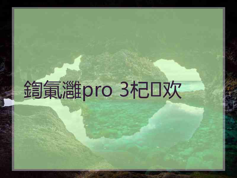 鍧氭灉pro 3杞欢