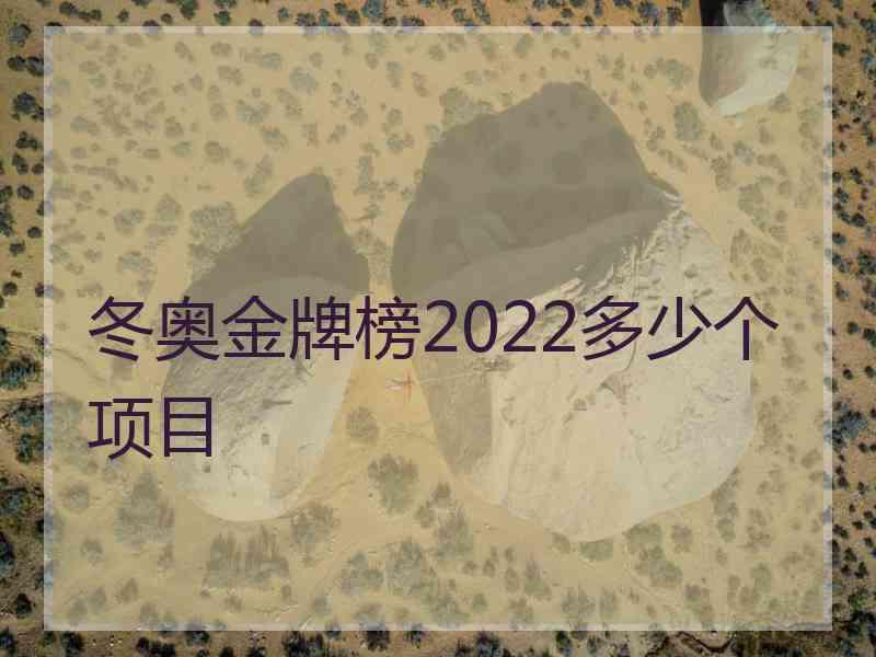 冬奥金牌榜2022多少个项目