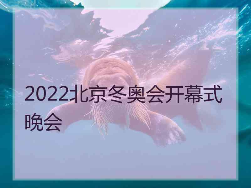 2022北京冬奥会开幕式晚会