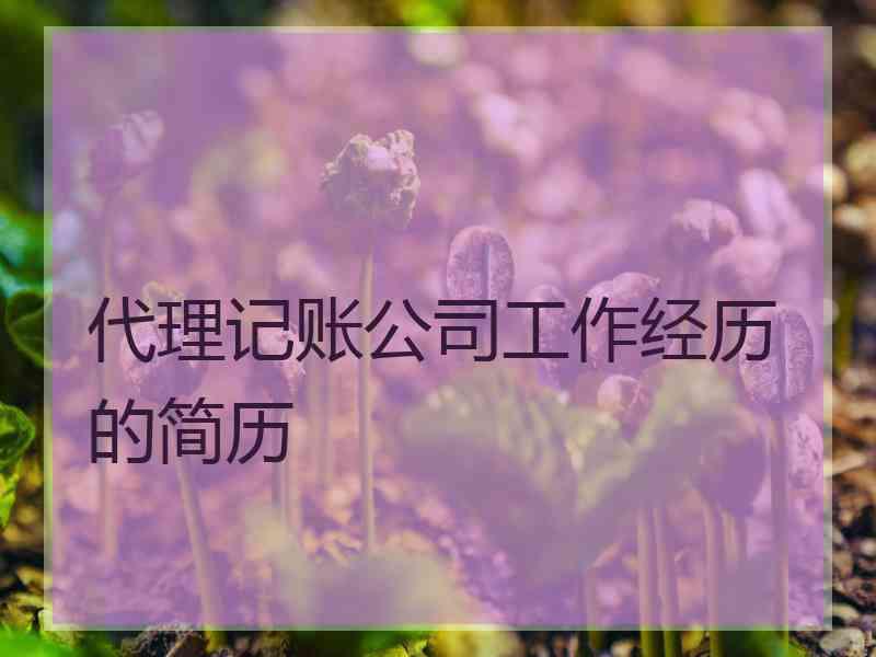 代理记账公司工作经历的简历