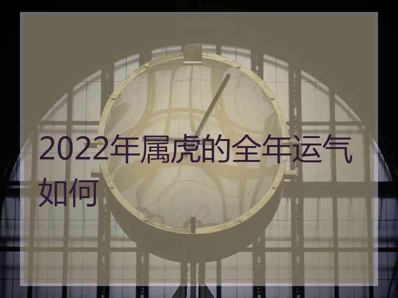 2022年属虎的全年运气如何