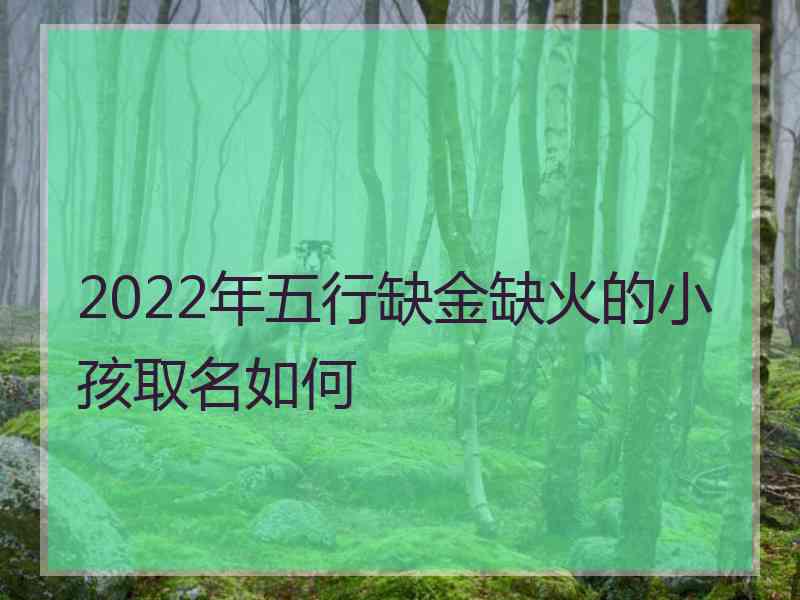 2022年五行缺金缺火的小孩取名如何