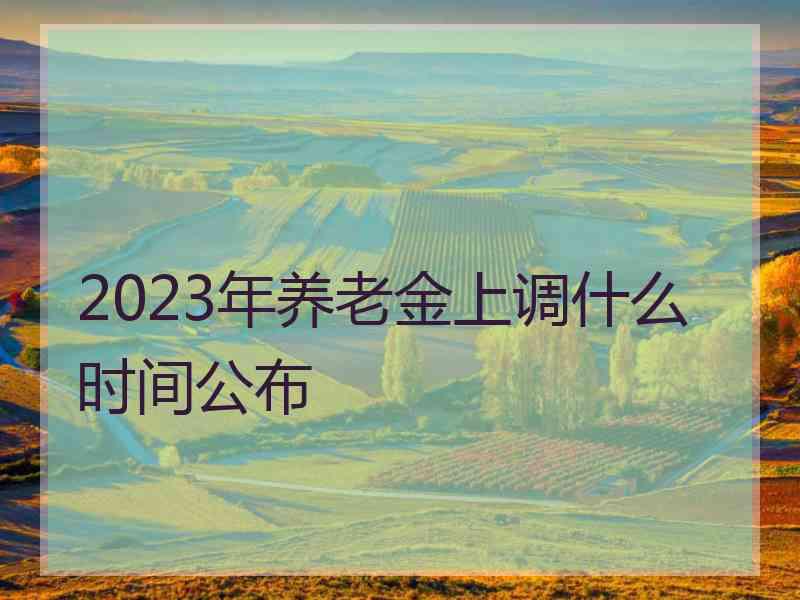 2023年养老金上调什么时间公布