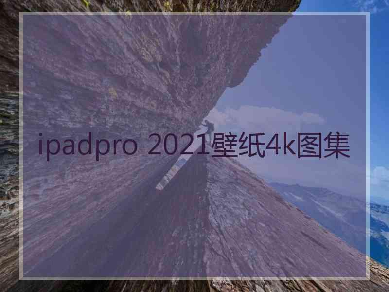 ipadpro 2021壁纸4k图集