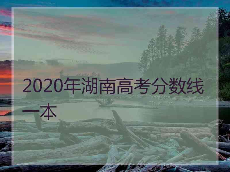 2020年湖南高考分数线一本