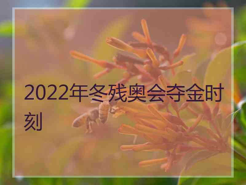 2022年冬残奥会夺金时刻