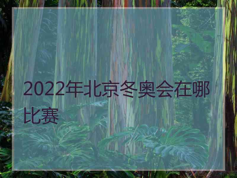 2022年北京冬奥会在哪比赛